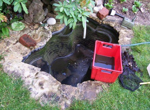 Professional Pond Repair Services: Solving Issues for a Healthy Pond post thumbnail image