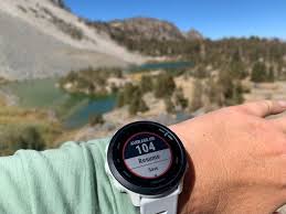 Garmin Forerunner vs Fenix: Choosing the Right Running Watch for Your Needs post thumbnail image