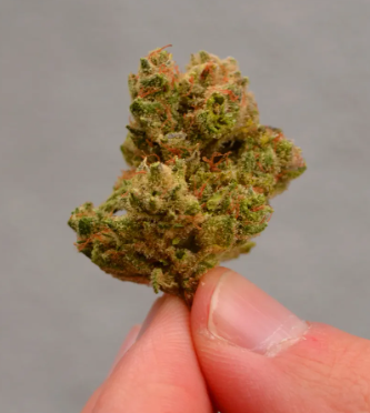 Budget-Friendly Cannabis: Buy Cheap Weed Online Canada post thumbnail image