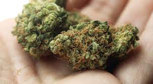 Same Day Weed Delivery in Coquitlam: Your Cannabis at Your Doorstep post thumbnail image