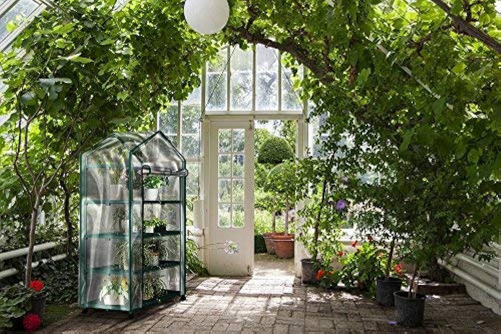 Efficient Greenhouses: Balancing Space and Yield post thumbnail image