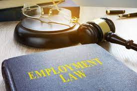 Expertise in Employee Rights: Employment Attorneys at Your Service post thumbnail image